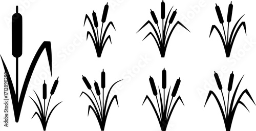Cattail svg, Cattail silhouette, Cattail plant silhouette, Reeds and cattail silhouette, Cattail plant svg, Cattail vector set. 