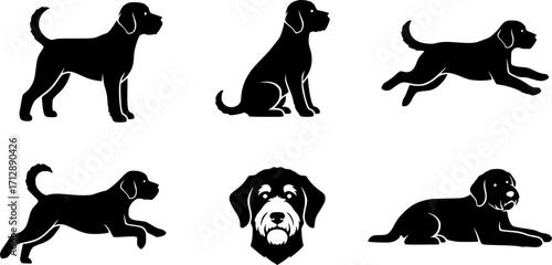 Labradoodle silhouette, Labradoodle dog silhouette, Labradoodle clipart, Labradoodle icon, Dog silhouette