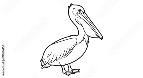 Majestic Cartoon Pelican Standing Posing on Isolated White Background