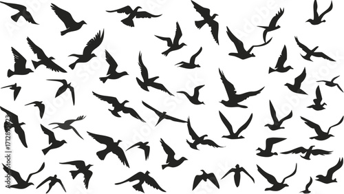 Dynamic flock of birds soaring freely across the sky, symbolizing freedom and migration