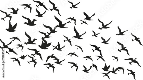 Flock of birds soaring dynamically across sky, symbolizing freedom and nature's beauty