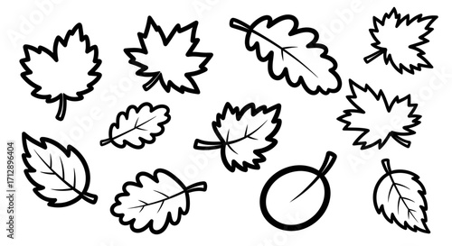 Black and white outline drawing of various autumn leaves.