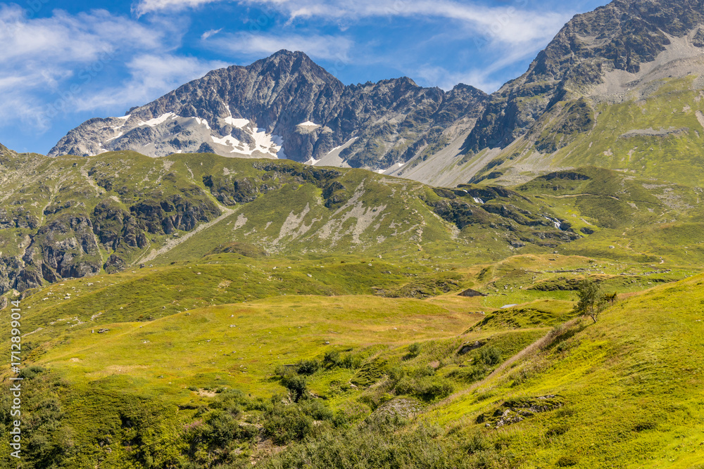 Naklejka premium Chamonix Montblanc beautiful alpine mountain summits landscape. Alps mountains with snow and glacier above green valley of Chamonix in France. Alps beautiful scenery in summer