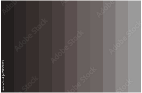 Black Gray Color Shades Swatches Set Pantone Palette Abstract Graphic Design Vector
