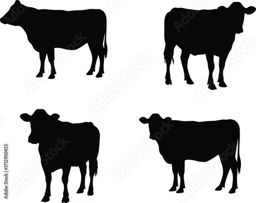Cow silhouette illustration, cattle livestock graphic, farm animal design, dairy agriculture art, rural countryside vector, grazing mammal icon, beef farming concept