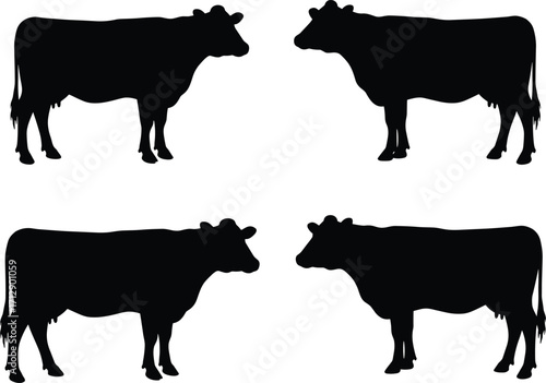 Cow silhouette illustration, cattle livestock graphic, farm animal design, dairy agriculture art, rural countryside vector, grazing mammal icon, beef farming concept