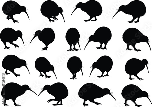Kiwi bird silhouettes collection, New Zealand wildlife illustration, flightless bird artwork, animal design elements, nature vector graphic, exotic species, educational resource