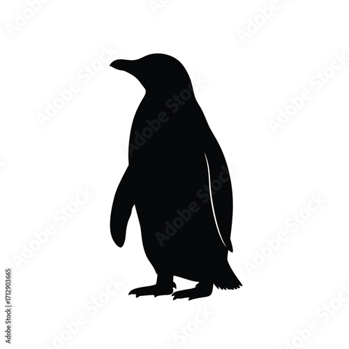 A striking black penguin shape against a plain white background silhouette