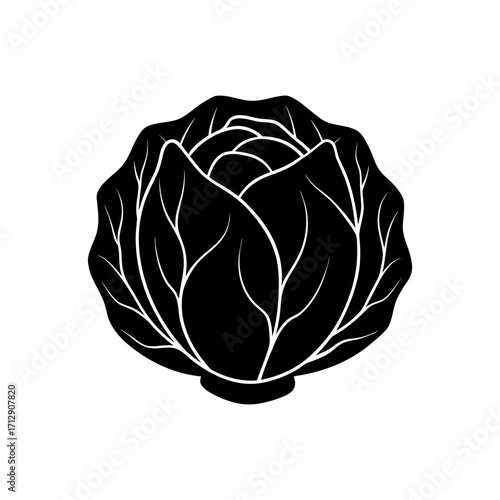 Stylized black and white cabbage on transparent background
