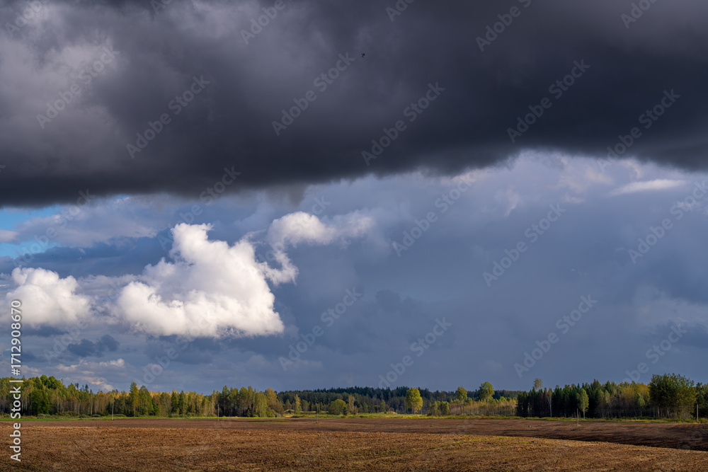 Obraz premium stormy clouds over the field