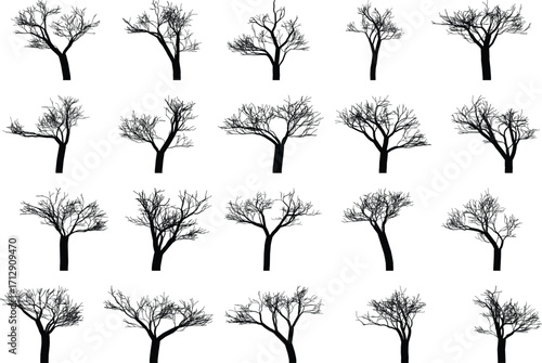 Collection of bare tree silhouettes perfect for winter illustrations symbolizing dormancy nature and the passage of time
