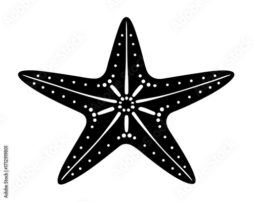 starfish   black silhouette vector,Sea fish icon