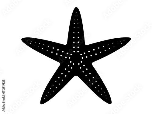 starfish   black silhouette vector,Sea fish icon