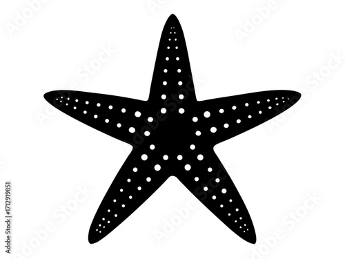 starfish   black silhouette vector,Sea fish icon
