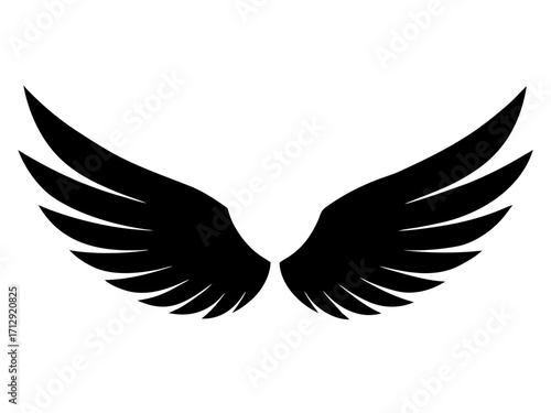 wings black silhouette vector,wings icon