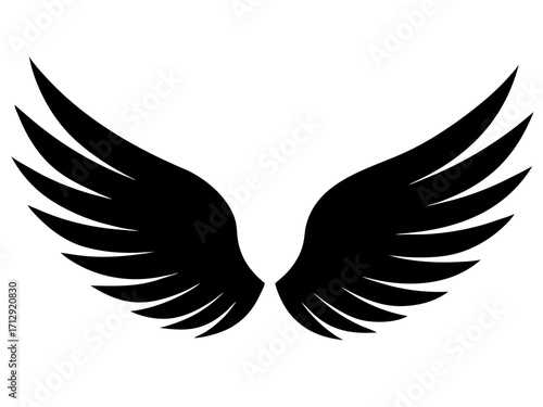 wings black silhouette vector,wings icon