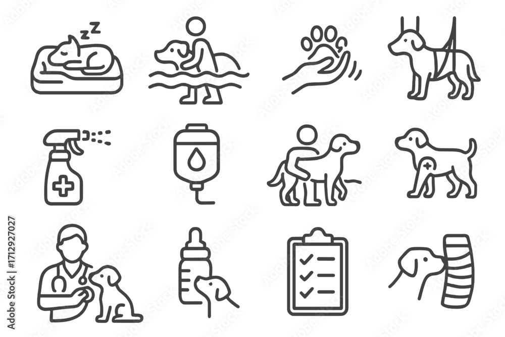 Fototapeta premium Pet icon icons recovery vector sling massage supportive care vet paw bottle