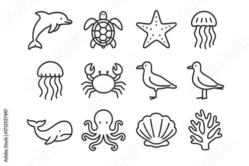 Sea turtle starfish icon clam crab vector icons seagull jellyfish dolphin wildlife