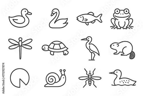 Lake vector dragonfly duck turtle pad icons mosquito frog wildlife icon fish