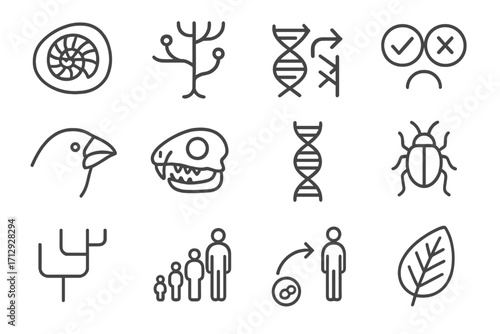 Icon fossil species leaf genetic arrow evolutionary vector diversity extinct biology icons