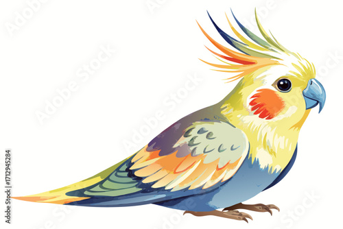 blue and yellow macaw