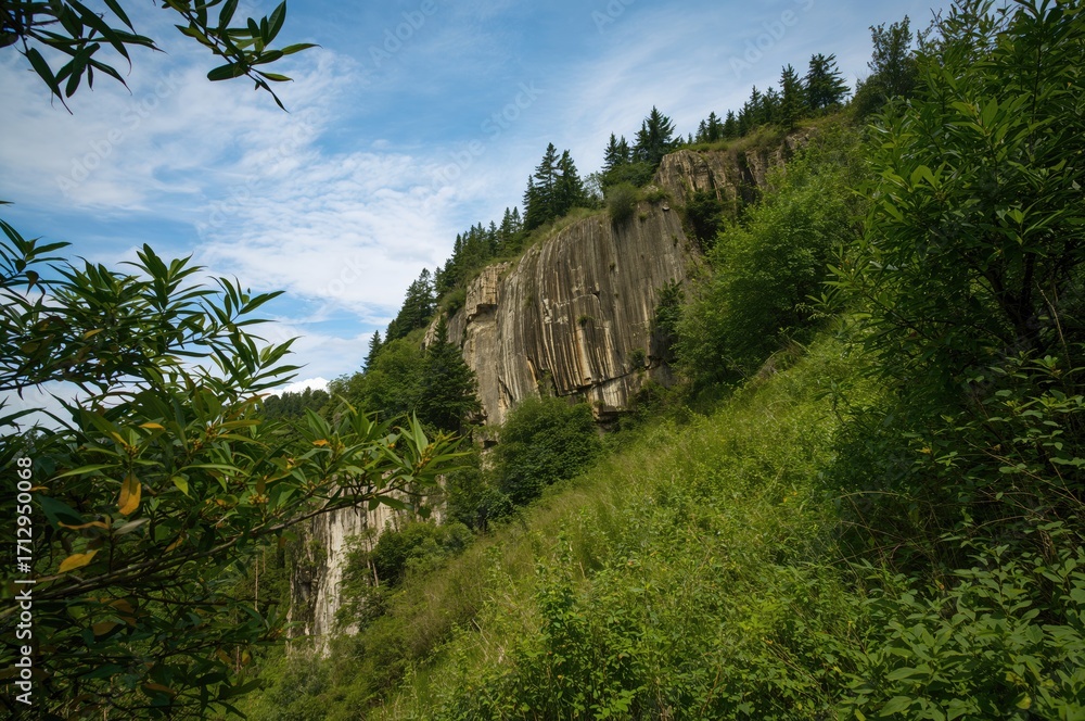 Obraz premium Lush greenery covering the rocky hillside under the open sky