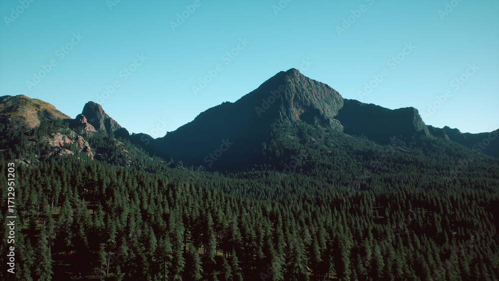 Fototapeta premium Majestic mountains tower over a vast expanse of dense coniferous trees, with a bright blue sky providing a perfect backdrop. Nature thrives in this beautiful landscape under warm sunlight.
