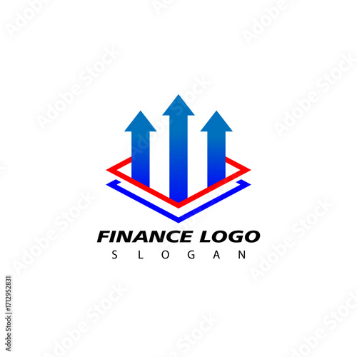 Finance and Accounting Logo Design Vector