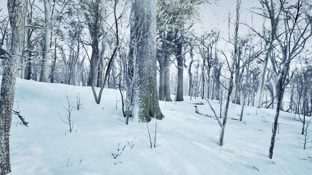 Obraz premium A peaceful forest scene showcases tall, bare trees dusted with fresh snow. The ground is blanketed in white, creating a serene winter wonderland. Silence fills the air.