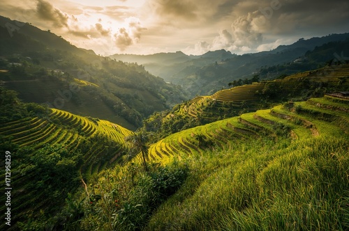 Scenic layered rice paddies...