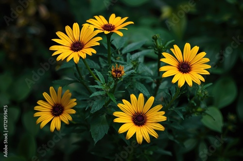Vibrant Yellow Blossoms of ...