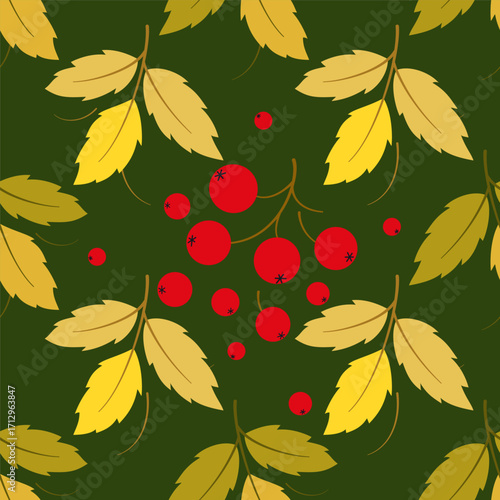 Green autumn seamless pattern of rowan berries. Repeating floral ornament. Botanical vector illustration of bright leaves and berries on dark background. Native seasonal design for your project.