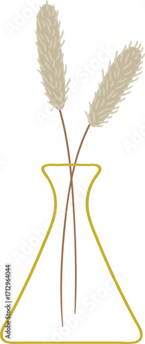 wheat ears isolated on white