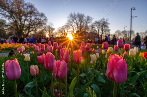 Sun rays shining on vibrant...