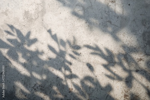 Blurred Leaf Shadows Cast o...