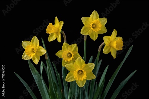 Spring's arrival marked by ...