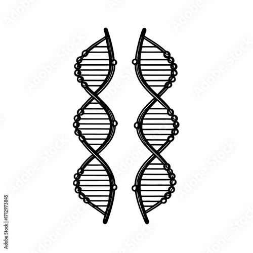Dynamic double helix DNA structures symbolizing life's blueprint, research, and scientific discovery, perfect for educational and medical concepts.