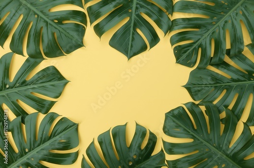 Tropical green Monstera lea...