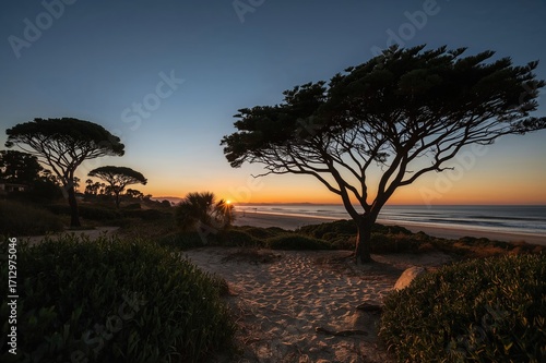Evening View from a Bench a...