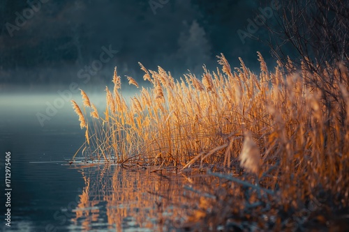 Peaceful early morning by a...
