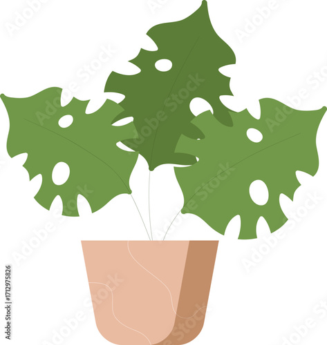 vector illustration of a plant levs