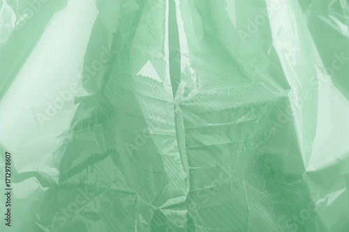 Close-up view of a pale gre...