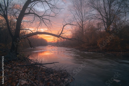 Winter Scene of a Tree Bran...