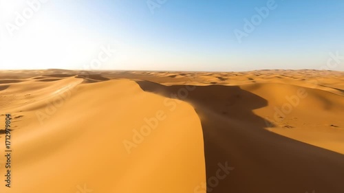 Wallpaper Mural Expansive desert panorama featuring undulating golden sand dunes. The bright sunlight casts shadows and highlights the textured surfaces, with a clear blue sky stretching to the horizon. Torontodigital.ca