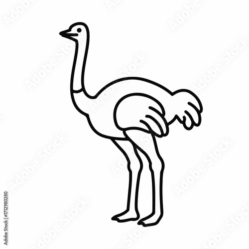 Simple line drawing of an ostrich standing tall on a white background