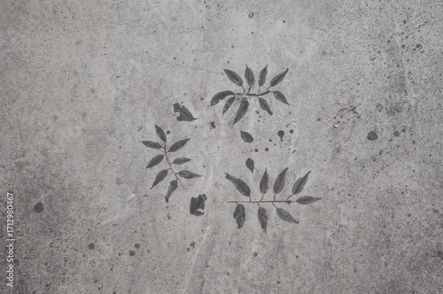 Footprints on textured conc...