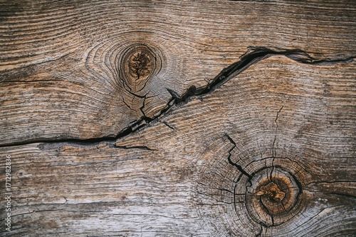 Close-up of aged oak wood s...