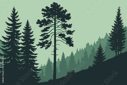 a silhouette of a dense forest with various evergreen trees in shades of green and black