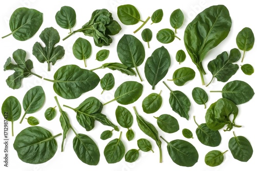 Assortment of young green s...