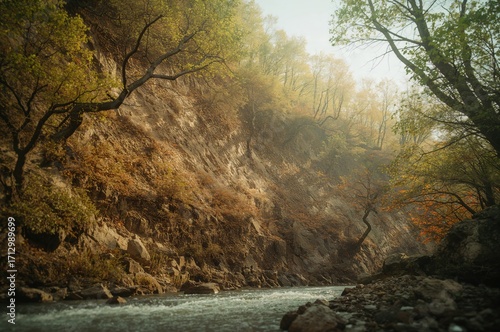 Sloping Riverbank with Tree...